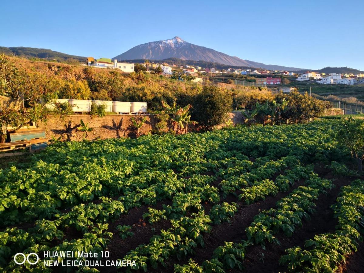 Finca Los Angeles San Juan de la Rambla Buitenkant foto